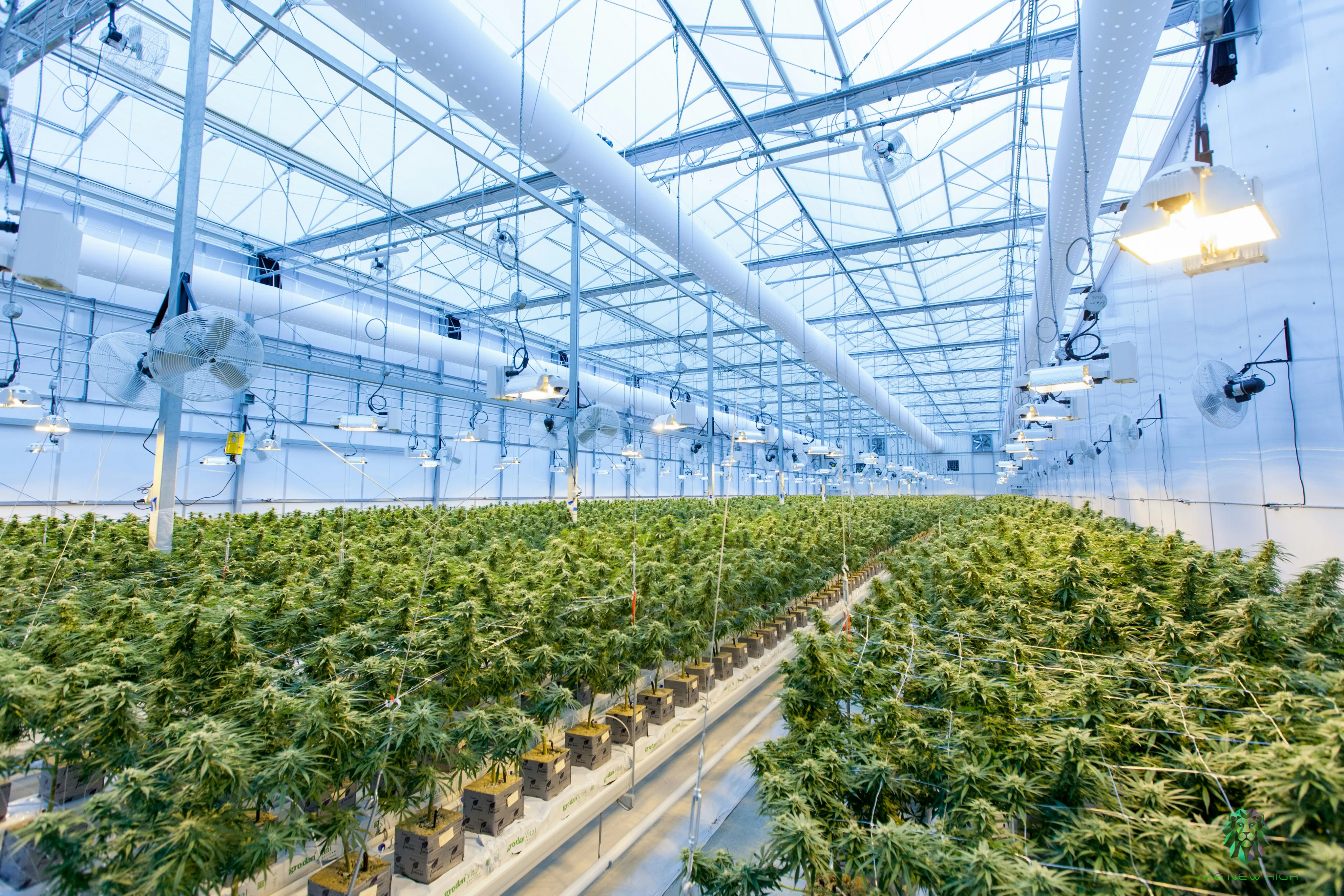 BME688 use case greenhouse